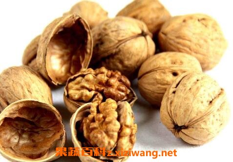 核桃有哪些功效与作用