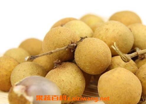 桂圆有哪些功效与作用