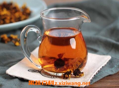 血菊茶的功效与禁忌