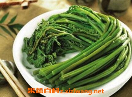 蕨菜致癌是真的吗 蕨菜的功效与作用