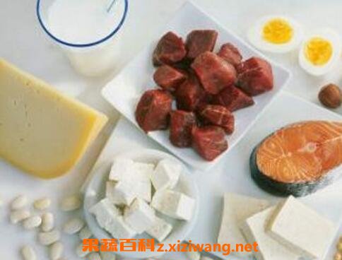 高蛋白食物有哪些 高蛋白食物吃多的危害