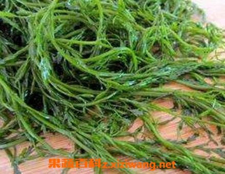 螺旋藻怎么吃 螺旋藻的吃法技巧