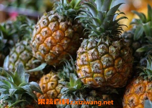 吃菠萝的好处有哪些 吃菠萝的坏处