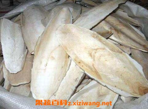 中药鱼古的功效与作用