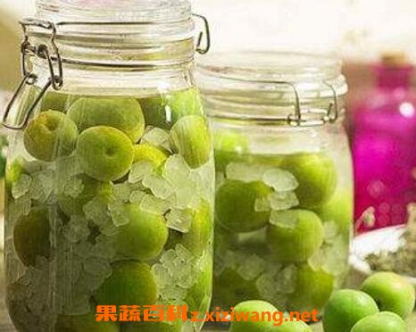 青梅酒的梅子能吃吗 自制青梅酒的危害