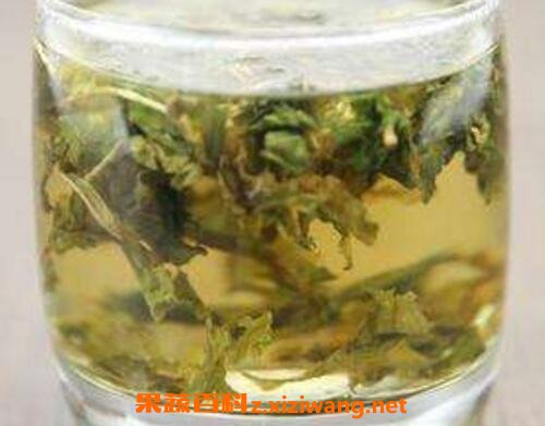 蒲公英茶哪些人不宜喝 蒲公英茶的功效与作用