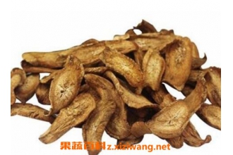 牛蒡根的功效与作用及禁忌