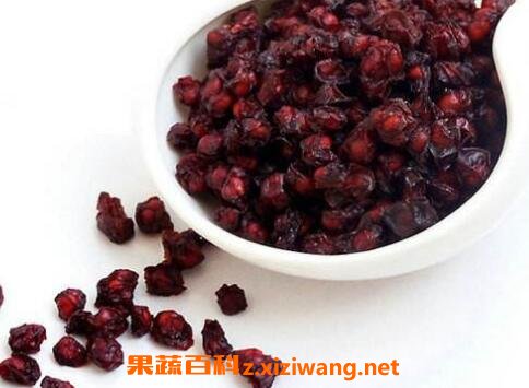 五味子的功效与作用及药用价值