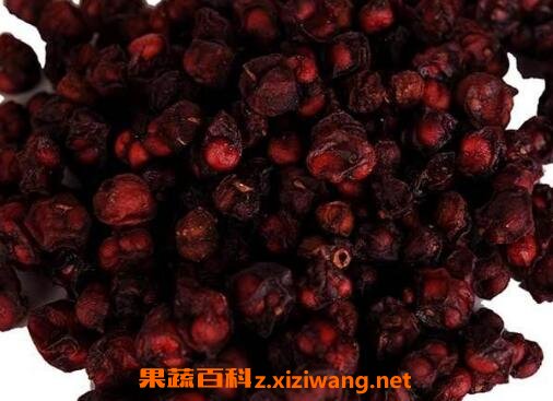 五味子的功效与作用及药用价值