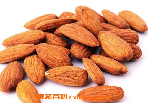 杏仁的功效与作用及药用价值