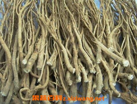 柴胡的功效与作用及药用价值