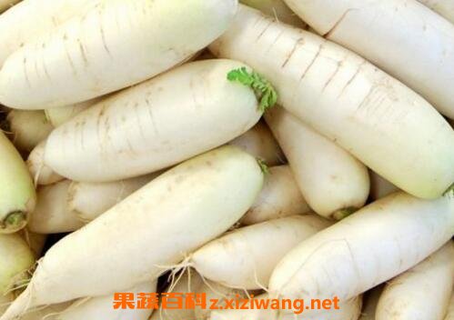 白萝卜的功效和禁忌