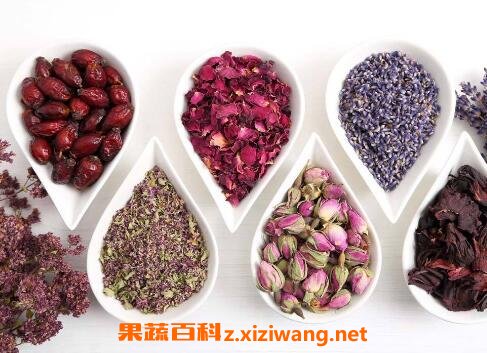 花茶如何喝 花茶的冲泡方法