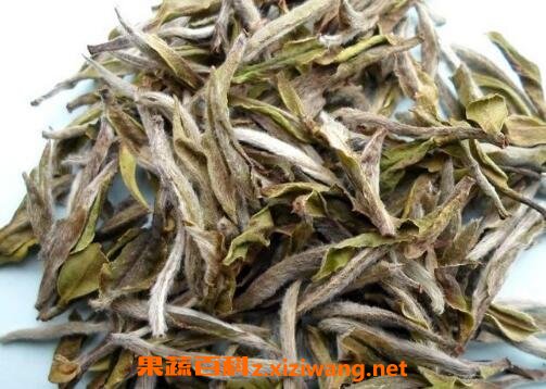 怀孕可以喝白茶吗 怀孕喝白茶的好处和坏处
