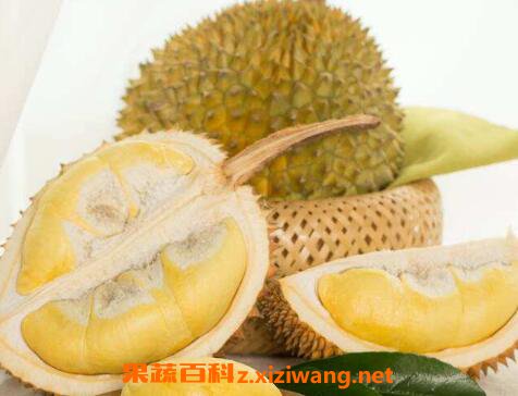 水果榴莲不能和什么一起吃