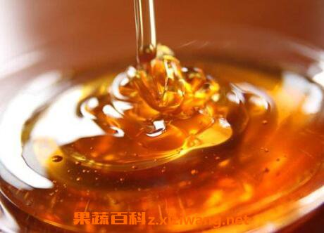黄连蜂蜜的作用与功效