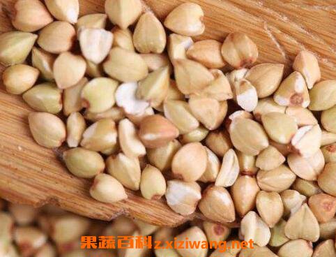 荞麦的功效与作用及食用方法