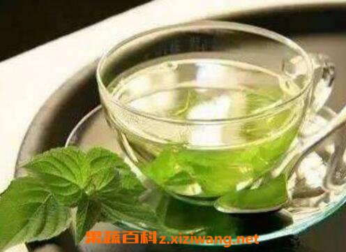 藿香叶泡水的功效