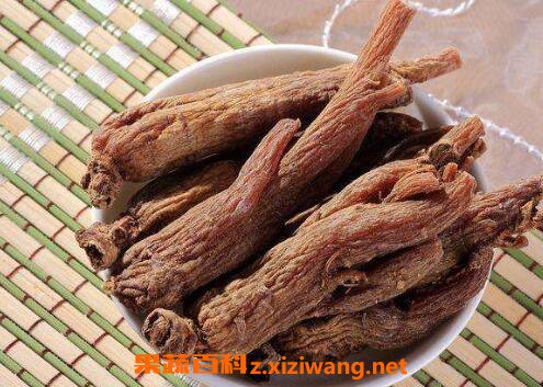 红参的功效与作用 红参怎么吃
