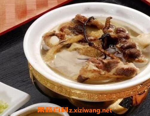 肉苁蓉怎么吃效果最好
