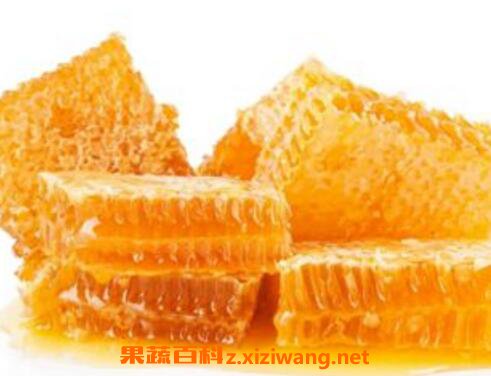 蜂巢蜜的作用与功效 蜂巢蜜能治鼻炎吗