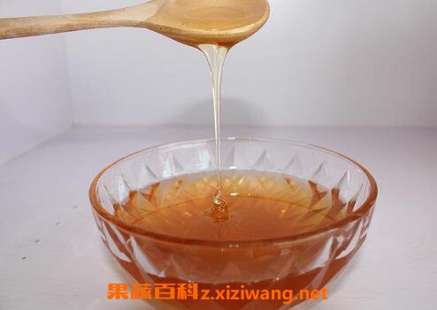 枣花蜜的功效与作用