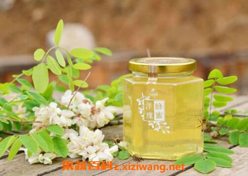洋槐蜂蜜的作用与功效