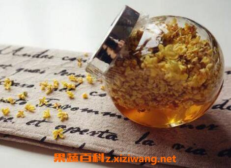 干桂花怎么做桂花蜜 桂花蜜的常见吃法