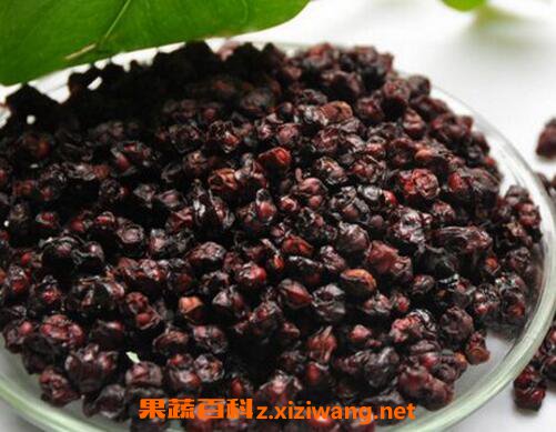 五味子的功效与作用与药用价值