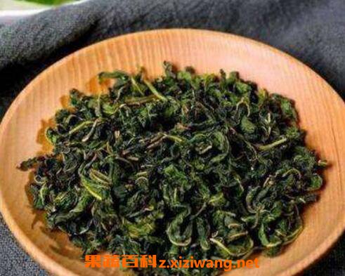 桑叶茶的功效与作用 桑叶茶的泡法