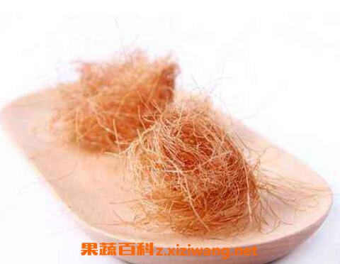 玉米须的功效与作用及药用价值