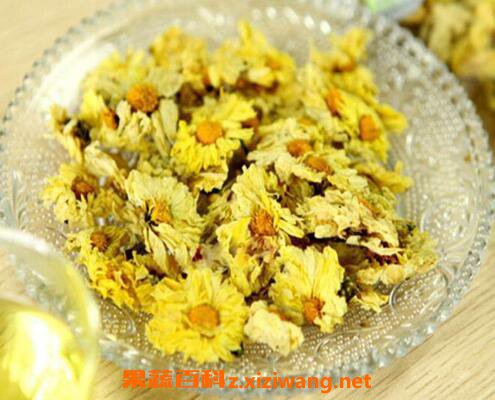菊花茶的功效与作用 喝菊花茶的好处