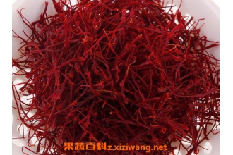 藏红花的功效与作用 吃藏红花的禁忌
