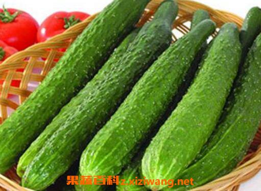 上火吃什么好 适合上火吃的食物有哪些