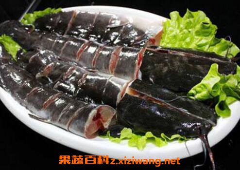 梭边鱼和鲶鱼的区别有哪些 吃梭边鱼对身体有害吗