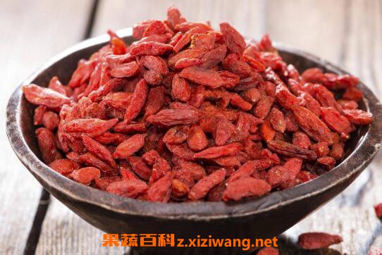 枸杞子怎么吃效果好 枸杞子泡水喝能壮阳吗