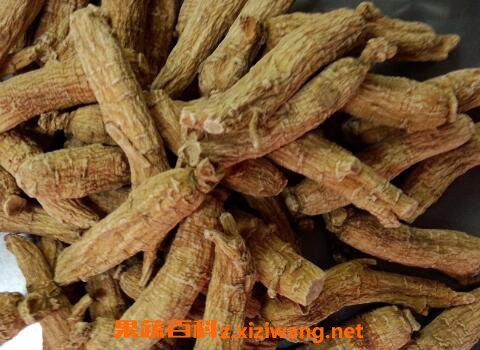 赤芍的功效与作用 赤芍的副作用