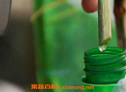 丝瓜水的功效与作用 丝瓜水的副作用