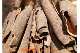 如何用桂皮泡酒 桂皮泡酒的方法