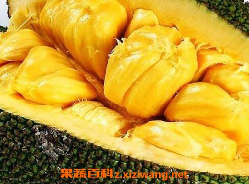 菠萝蜜的营养价值及功效