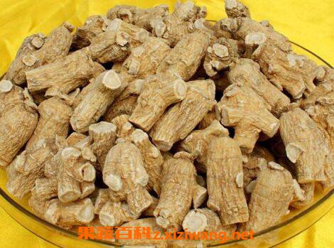 西洋参的功效与作用及药用价值