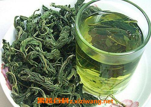怎样制作桑叶茶 桑叶茶制作方法步骤