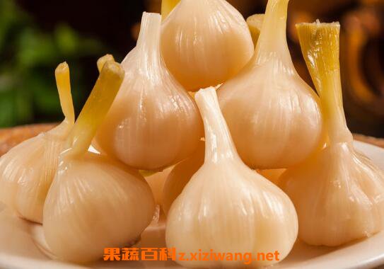蒜头怎么腌制好吃