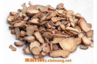 炒白芍的功效与作用及食用禁忌