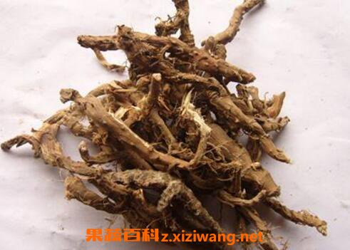 石菖蒲的功效与作用及药用价值