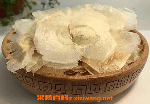 木蝴蝶泡水喝的功效 木蝴蝶和什么泡水喝好