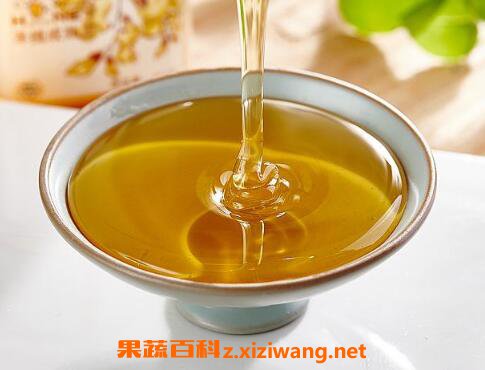 真蜂蜜和假蜂蜜的区别 怎样区分真假蜂蜜