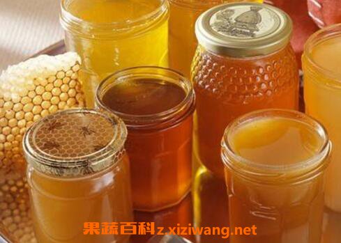 吃蜂蜜会减肥吗 蜂蜜减肥的正确吃法