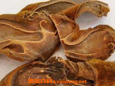 狗脊的功效与作用及药用价值