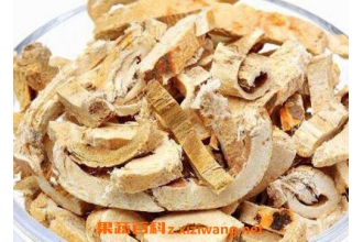 蜜桑白皮的功效与作用